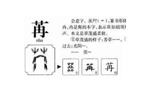 苒字五行属什么(苒字取名的寓意)