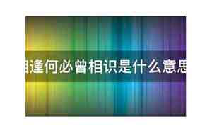 相逢何必曾相识上一句是什么，相逢何必曾相识上一句是什么翻译