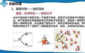 盐是由什么组成的化合物，盐是由什么组成的化学