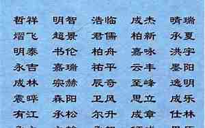 2019车姓宝宝好名字，车姓男宝宝起名大全