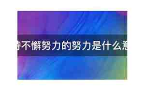 坚持不懈的懈是什么意思，坚持不懈的懈是什么意思解释