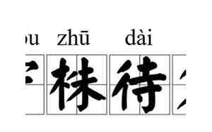 守株待兔打一字，守株待兔打一字花动物