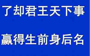 了却君王天下事的下一句，了却君王天下事的下一句是啥