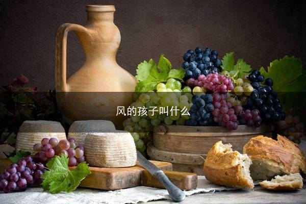 风的孩子叫什么(风的孩子叫什么名字)